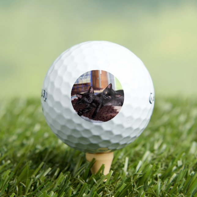 Pelotas De Golf Gatitos (Camiseta in situ)