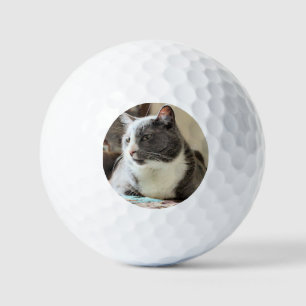 Pelotas De Golf Gato