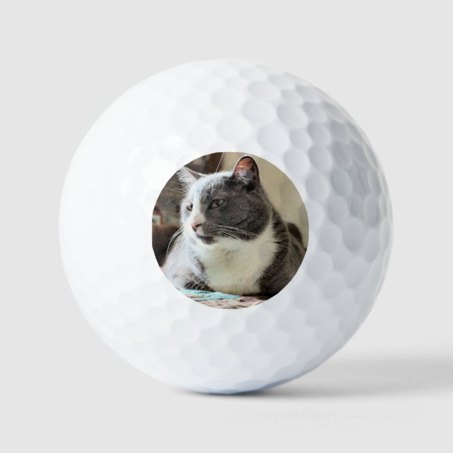 Pelotas De Golf Gato (Anverso)