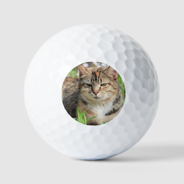 Pelotas De Golf Gato (Anverso)