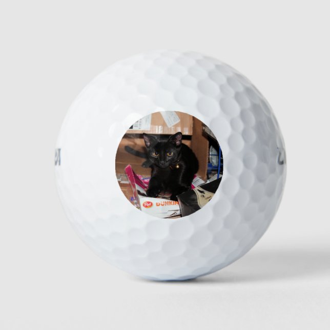 Pelotas De Golf Gato (Anverso)
