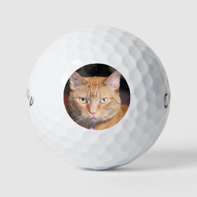 Pelotas De Golf Gato (Anverso)