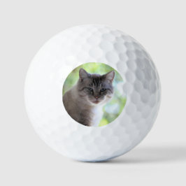 Pelotas De Golf Gato