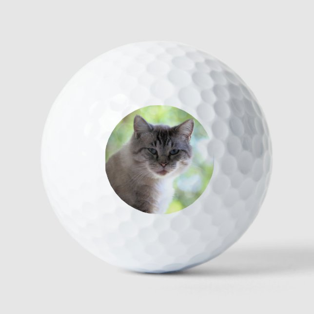 Pelotas De Golf Gato (Anverso)