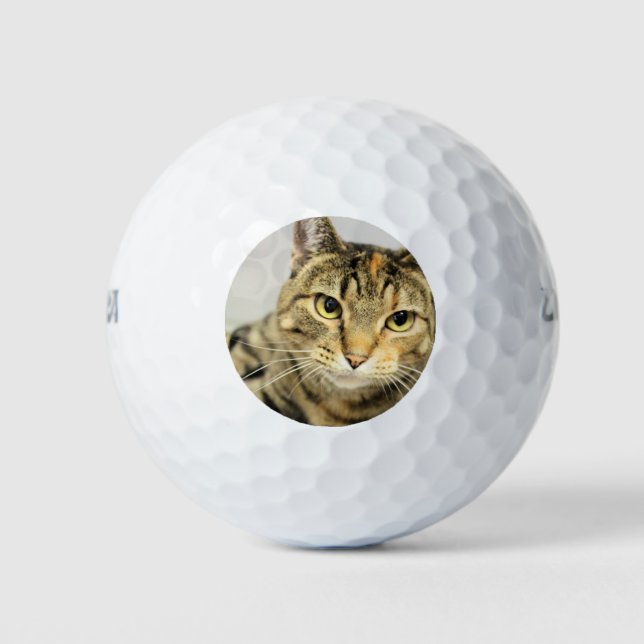 Pelotas De Golf Gato (Anverso)