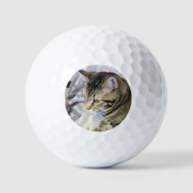 Pelotas De Golf Gato (Anverso)