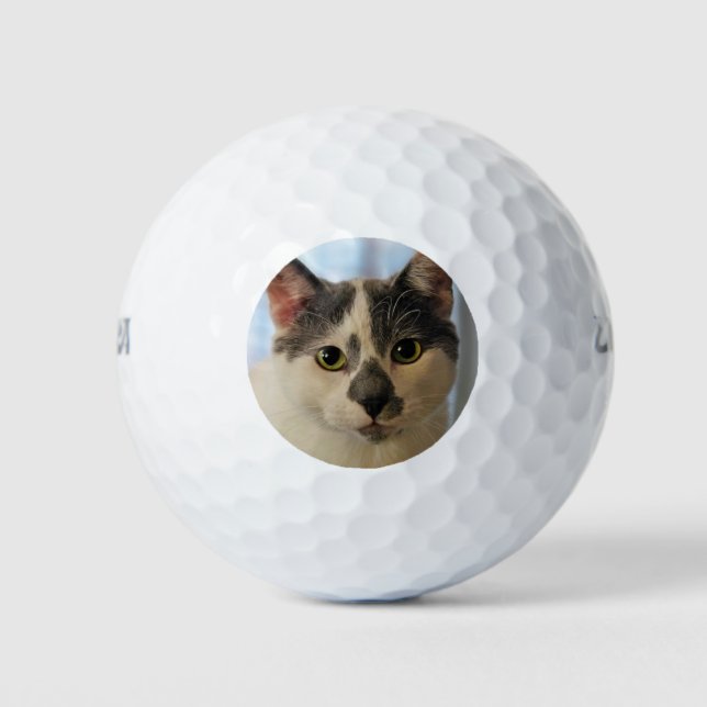 Pelotas De Golf Gato de corte (Anverso)