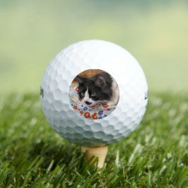 Pelotas De Golf Gato de Tuxedo