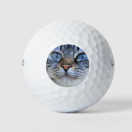 Pelotas De Golf Gato gris