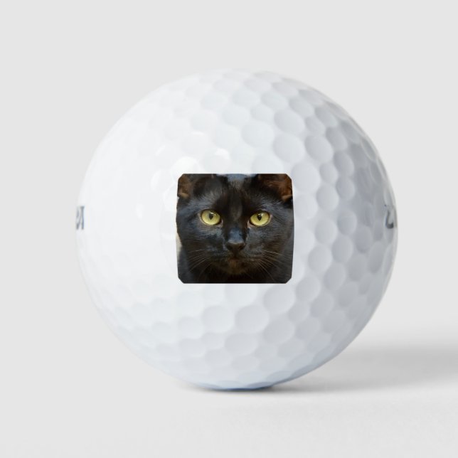 Pelotas De Golf Gato negro (Anverso)