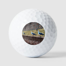 Pelotas De Golf Gaviotas