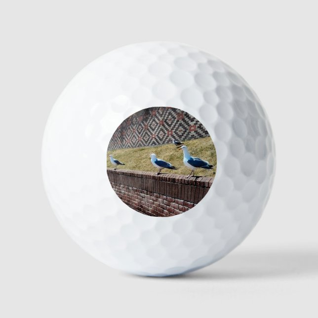 Pelotas De Golf Gaviotas (Anverso)