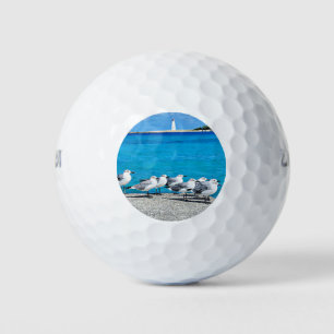 Pelotas De Golf Gaviotas, playa de arena, Nassau, Bahamas