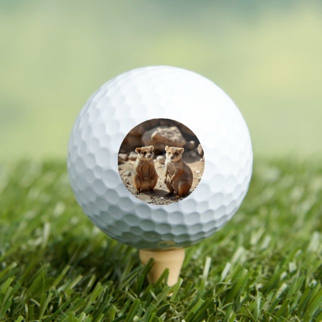 Pelotas De Golf Gemelos australianos de Quokka, (Camiseta in situ)