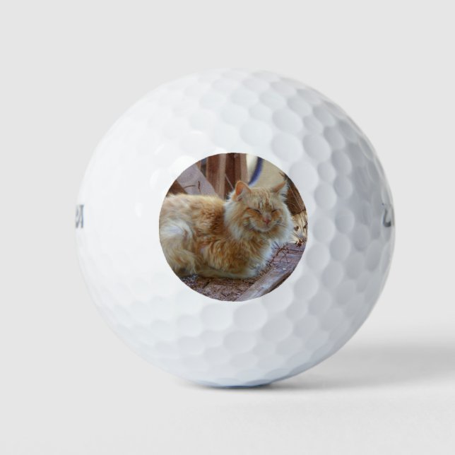 Pelotas De Golf Ginger George (Anverso)