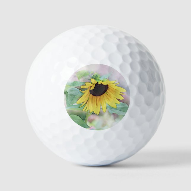 Pelotas De Golf 'Girasol tímido' (Anverso)
