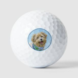 Pelotas De Golf Glen de la pintura islámica del territorio - Arte