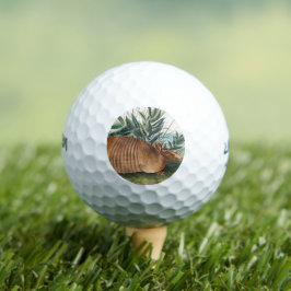 Pelotas De Golf Gold Beige Nine-banded Armadillo