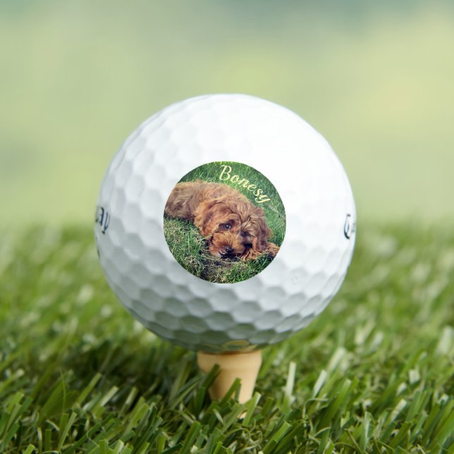 Pelotas De Golf Golden Doodle Callaway Soft Golf Balls (Camiseta in situ)