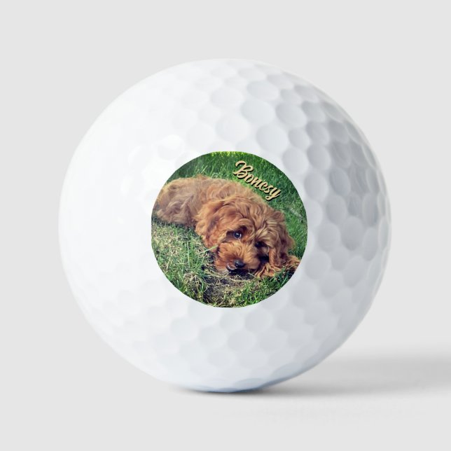 Pelotas De Golf Golden Doodle With Text (Anverso)