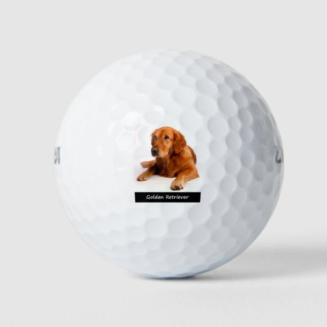 Pelotas De Golf Golden Retriever (Anverso)