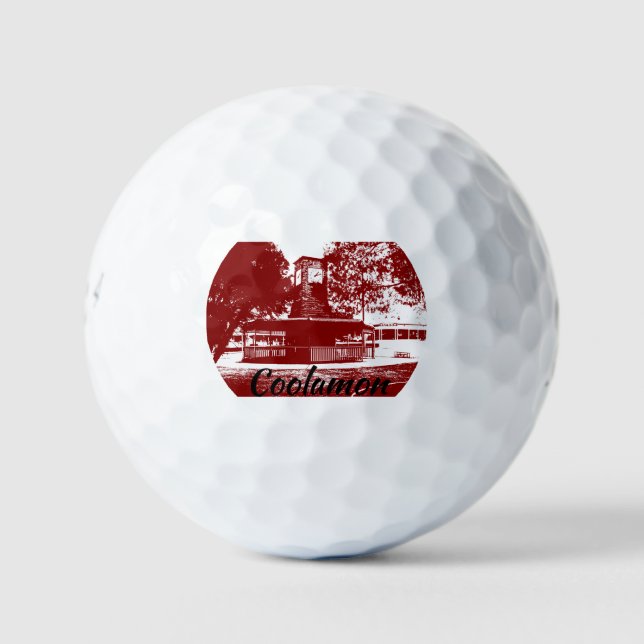 Pelotas De Golf Golf Balls Bridgestone e6 pk 12 (Anverso)