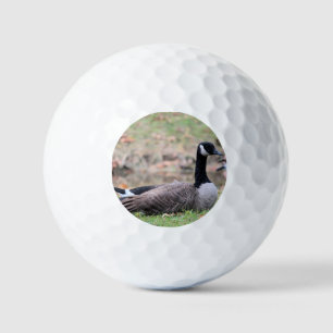 Pelotas De Golf Goose