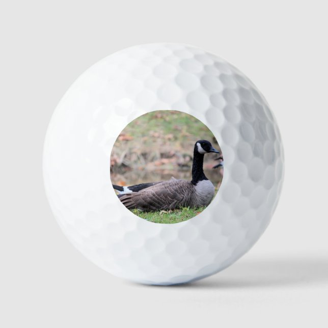 Pelotas De Golf Goose (Anverso)
