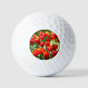 Pelotas De Golf Gran campo de tulipanes rojos sierra