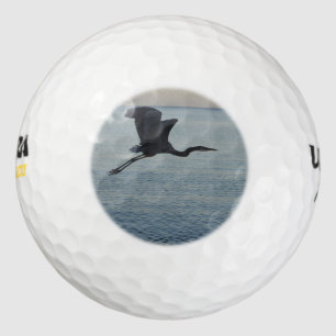 Pelotas De Golf Gran garza azul en Nápoles, FL