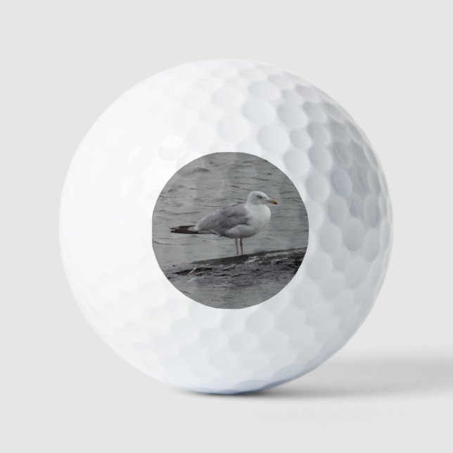 Pelotas De Golf Gran gaviota (Anverso)
