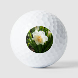 Pelotas De Golf Grandes daffodias blancas en un día de primavera