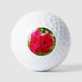 Pelotas De Golf Grandes rosas rojas en el jardín