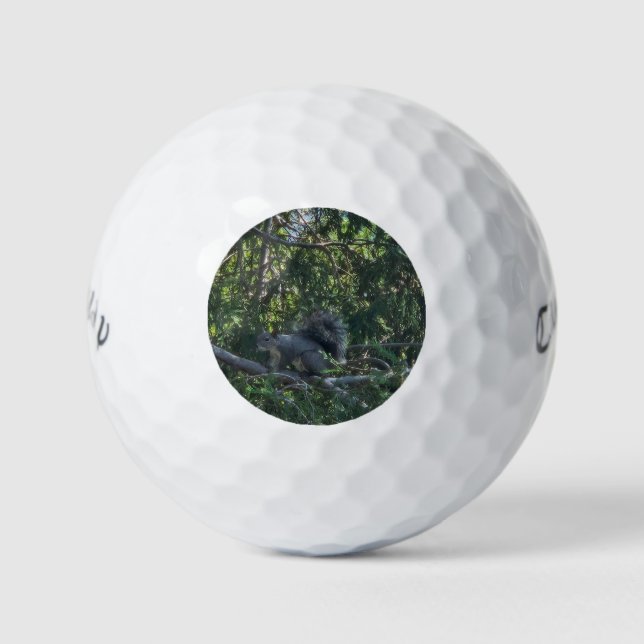 Pelotas De Golf Gray Sqirrel (Anverso)