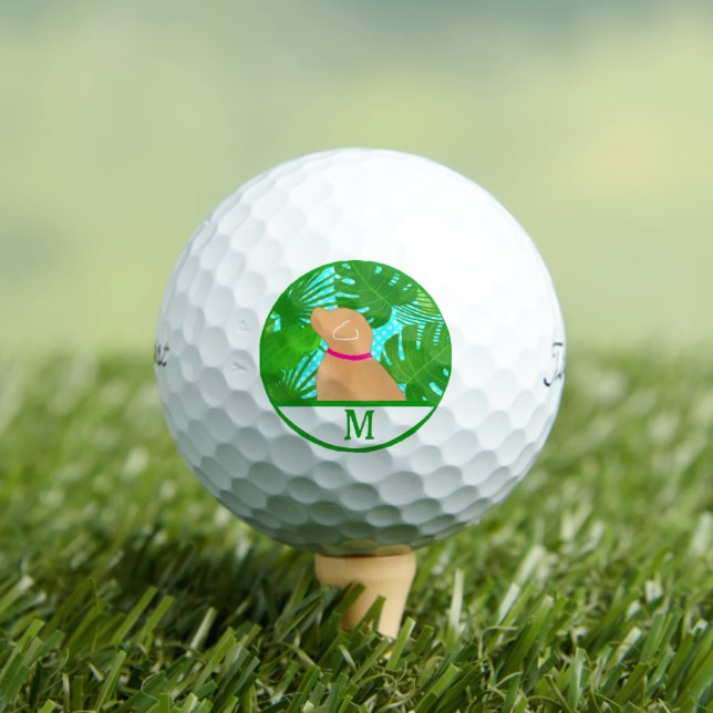 Pelotas De Golf Green Tropical Island Yellow Dog Golf Ball (Camiseta in situ)