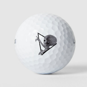 Pelotas De Golf Grey Alien, la verdad está ahí fuera