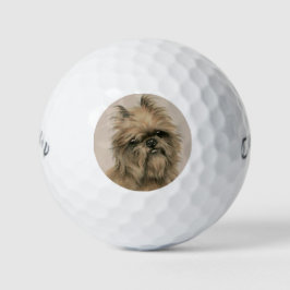 Pelotas De Golf Grifón de Bruselas