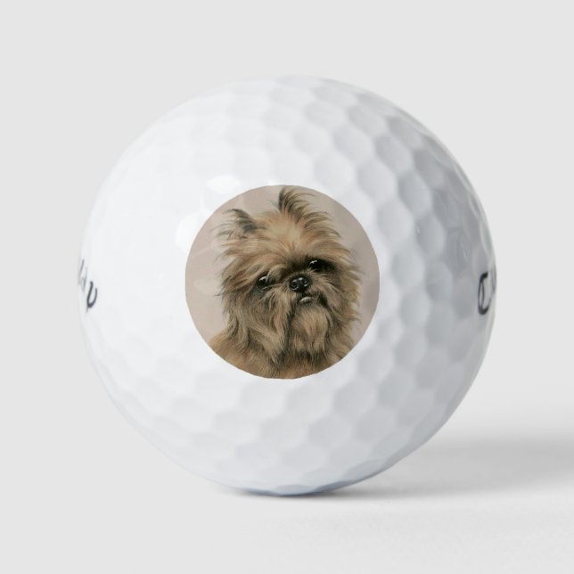 Pelotas De Golf Grifón de Bruselas (Anverso)