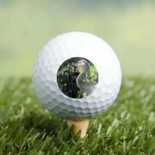 Pelotas De Golf Grúa arenosa