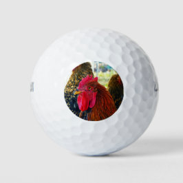 Pelotas De Golf Guapo