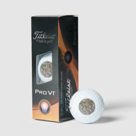 Pelotas De Golf Guerrero con casco de Leonardo
