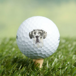 Pelotas De Golf Harlequin Great Dane
