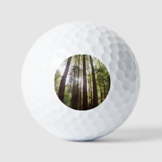 Pelotas De Golf Hasta las secuoyas por la mañana