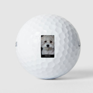 Pelotas De Golf Havanés