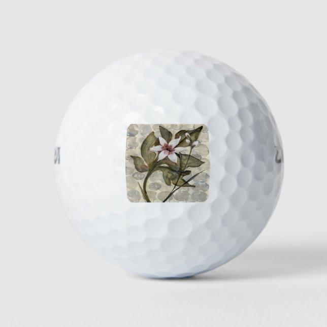 Pelotas De Golf HAZ26 Amazonia 4.tif (Anverso)