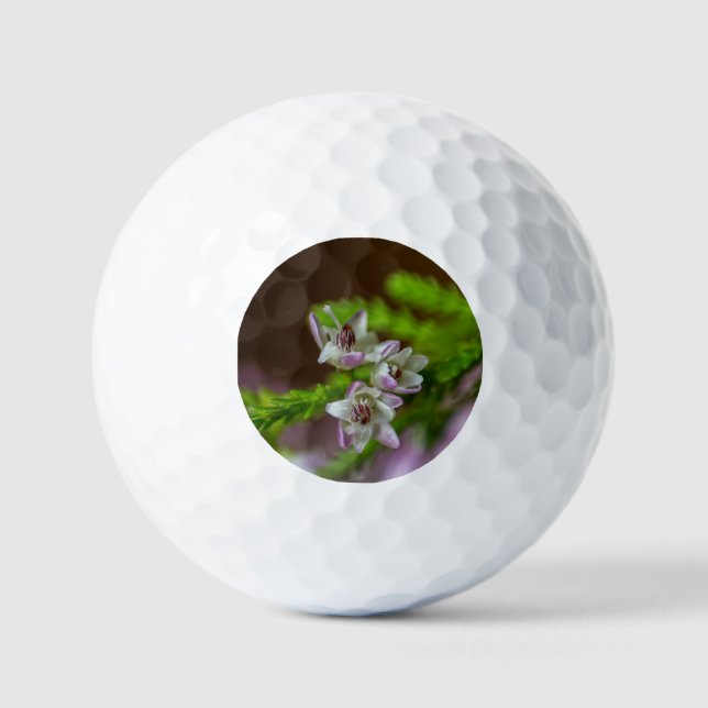 Pelotas De Golf Heather Spring flor evergreen flor morado blanco (Anverso)
