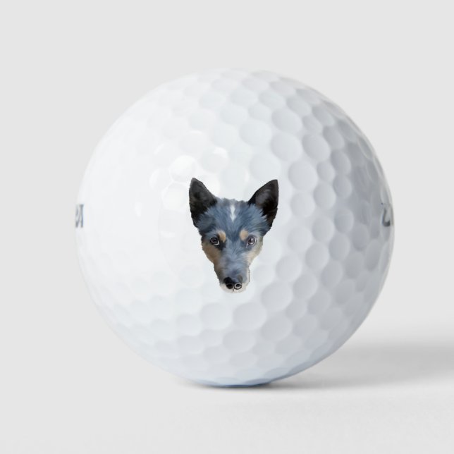 Pelotas De Golf Heeler azul / Perro de ganado australiano (Anverso)