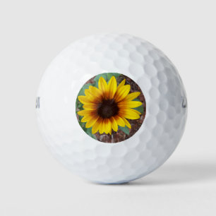 Pelotas De Golf Helianthus Annuus