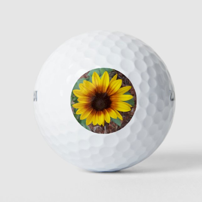 Pelotas De Golf Helianthus Annuus (Anverso)