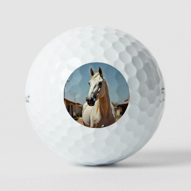Pelotas De Golf Hermosa yegua blanca americana (Anverso)